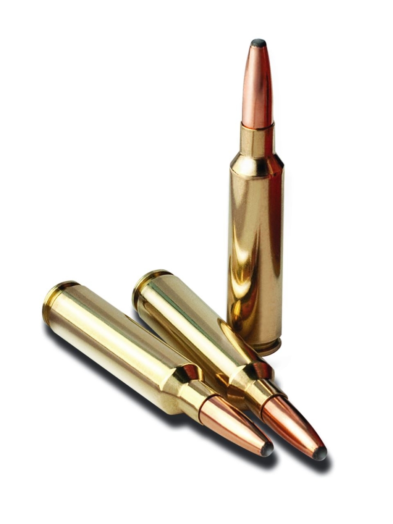 Norma Oryx kal7x65R  10.1g