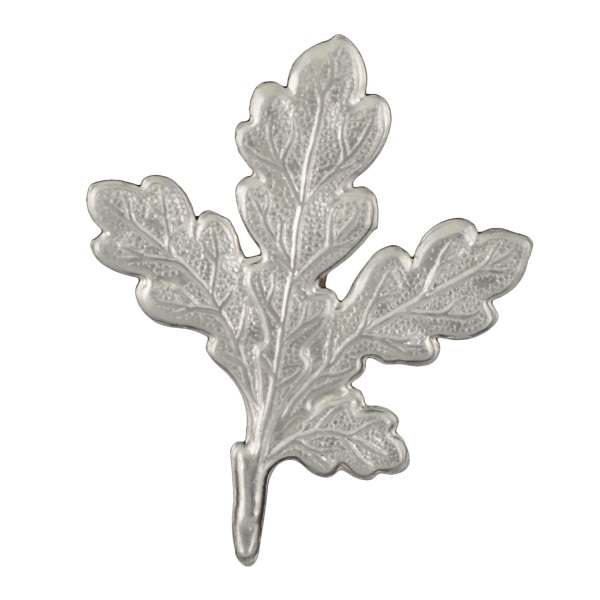 10342 Eklöv för vildsvinstrofé 10Pack