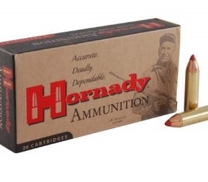 Hornady Bushmaster FTX kal450 250gr