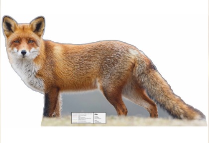 11197 Räv Real-serien skjutmål / kanalplast