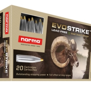 Norma CTG Evostrike kal9.3x62 11.9 184gr