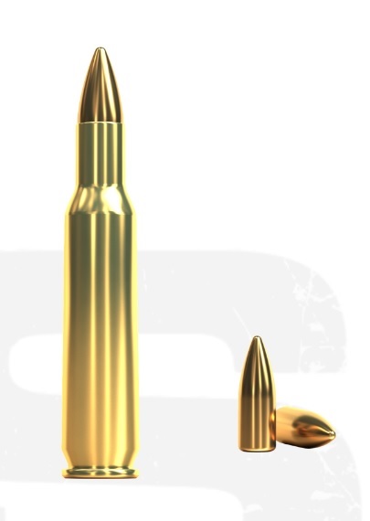 Sellier & Bellot 222 REM/ 3,24 FMJ 20st/ask