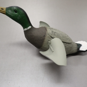 Gräsand Flygande Drake