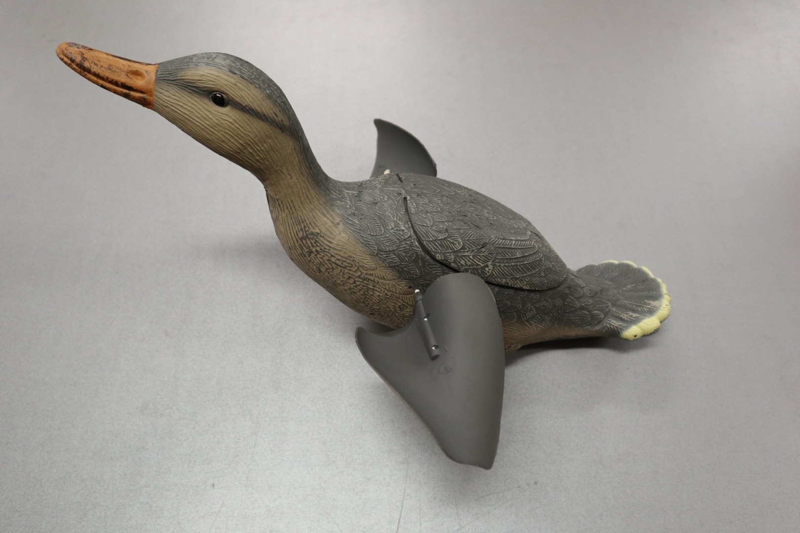 Gräsand Flygande Hona