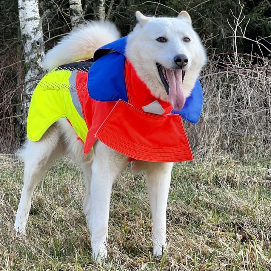 Tuskproof wolf, XL, blå