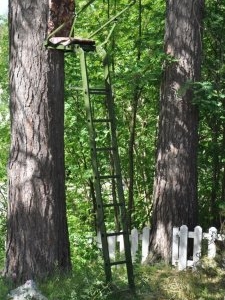 Jaktstege Nordhunt sky711