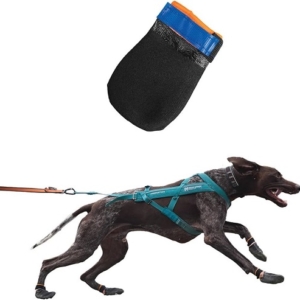 Protector bootie, black/orange, S, 4pk