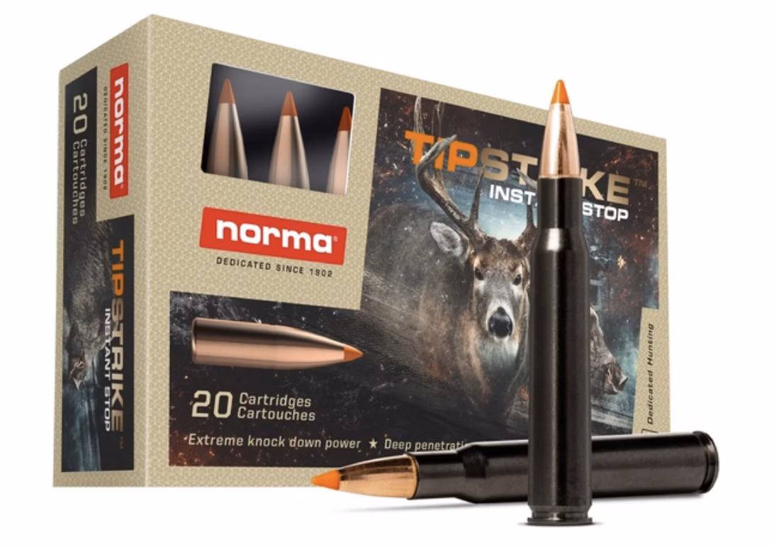 Norma Tipstrike Silencer kal308.Win 11.0g