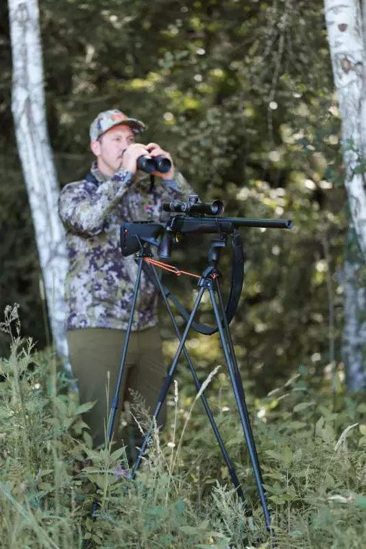 16703 Blaser Carbon stick