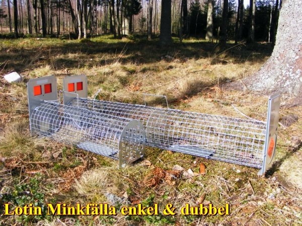 Lotin Minkfälla enkel