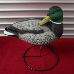 Gräsand på ställning Drake