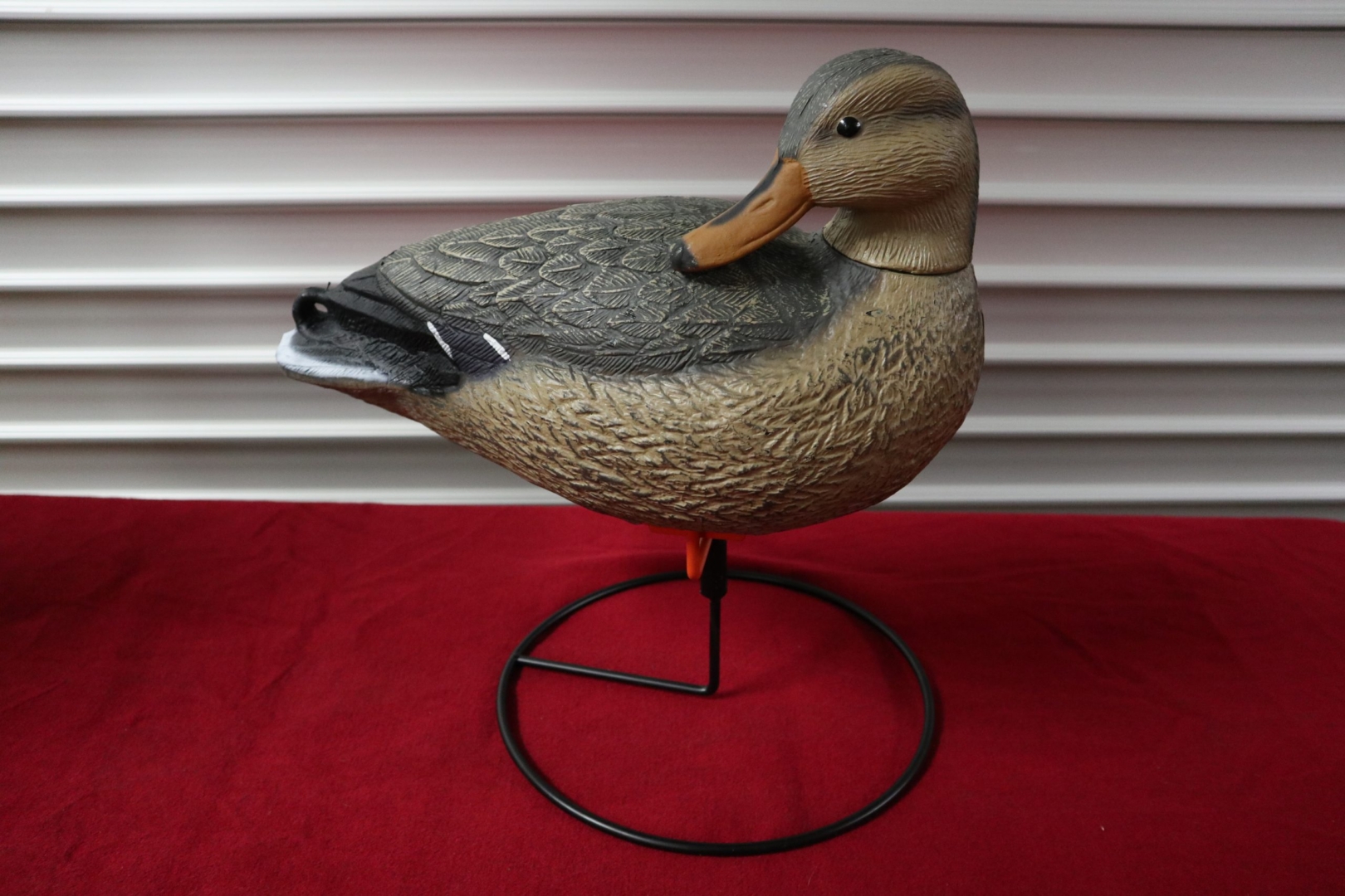 Gräsand på ställning Hona