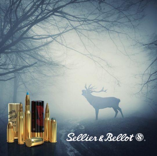 Sellier & Bellot FMJ 7x65r