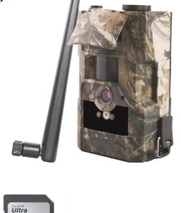 Åtelkamera Albecom MG884-24MP-2,3,4G-Moln+32GB SD