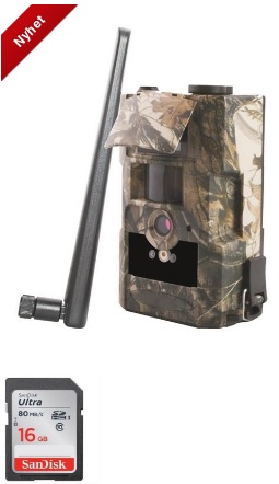 43655023 Åtelkamera Albecom MG884-24MP-2,3,4G-Moln+32GB SD