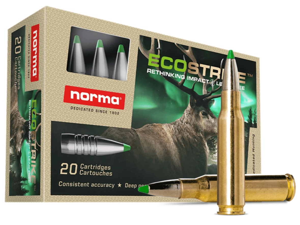 Norma Ecostrike kal308.Win 9.7g