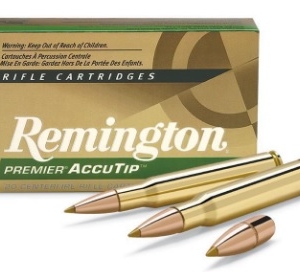 Remington Accutip 30-06 180gr