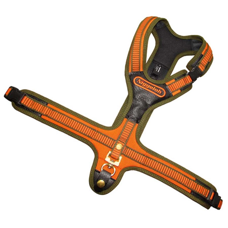 Sele Niggeloh Follow