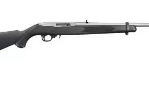 Ruger 1022