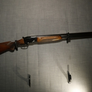 Beg BRNO Mod ZH 101, 12, 111391