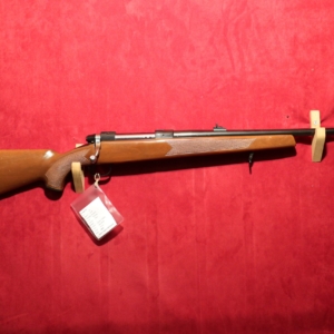 Beg Tikka Kal.30-06 Nr:650-34504