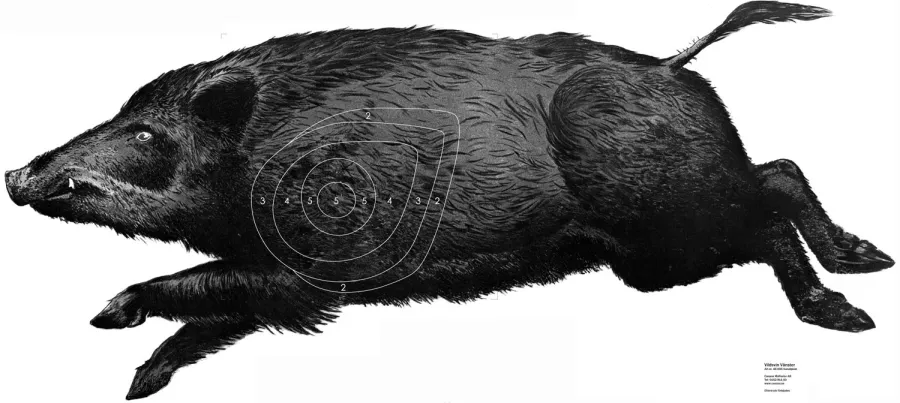 Tavlor/ Träffområden